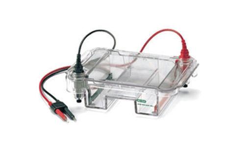 Sistema de electroforesis horizontal Mini-Sub Cell GT, bandeja de 7 x 7 cm