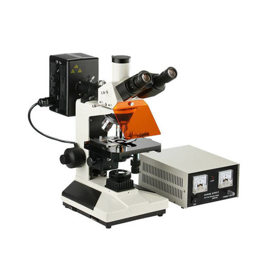 Microscopio Trinocular para Epifluorescencia L-2001B-YL