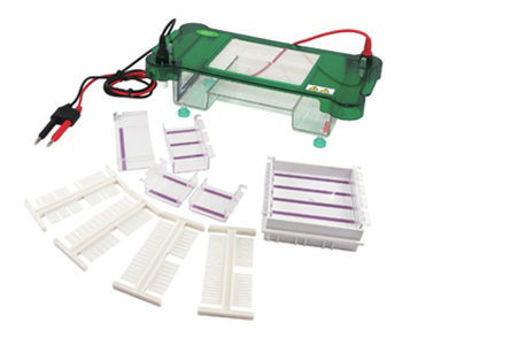 Cuba horizontal para Electroforesis SPCT