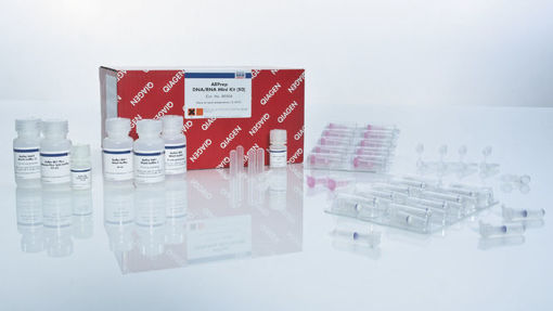 AllPrep DNA/RNA Mini Kit x 50 unidades