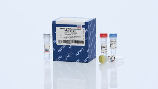 REPLI-g Mitochondrial DNA Kit x 25u.