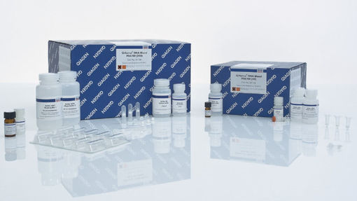 Kit de extracción DNA en sangre QIAamp Blood Mini Kit x 250u.