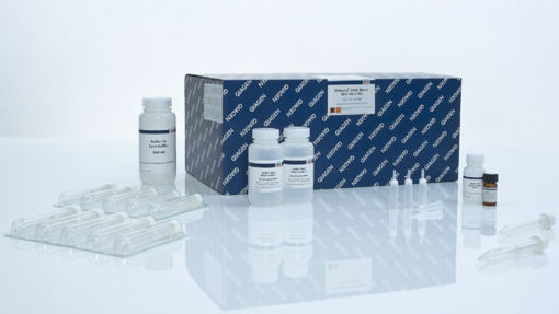 QIAamp DNA Blood Midi Kit (100), Kit de extracción de DNA de sangre, 100 det. x 2 mililitros