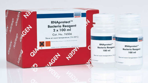 RNAprotect Bacteria Reagent (2x100ml)
