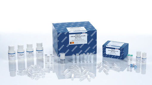 QIAamp DNA Microbiome Kit (50)