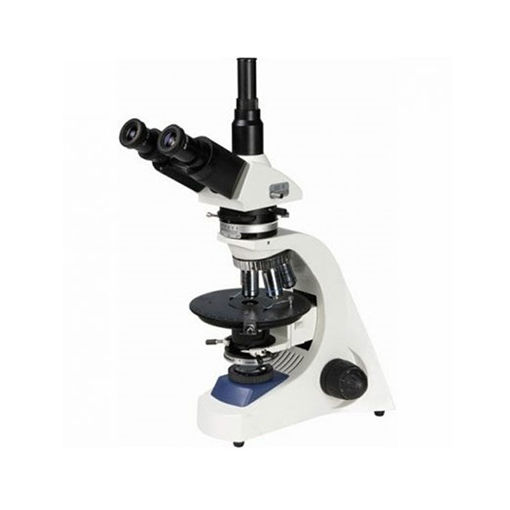 Microscopio Trinocular Polarización XP148PLT Halógena