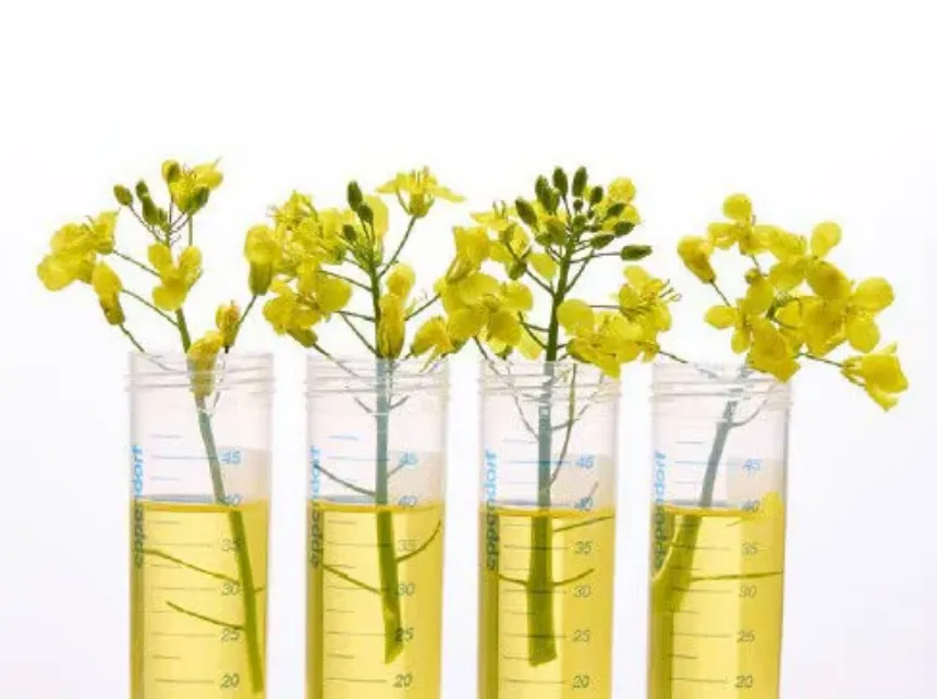 Tubos Eppendorf BioBased