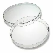Placas de Petri estéril Ø60mm x 100u.