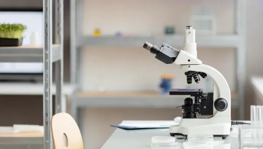 Diferentes tipos de microscopios y sus usos