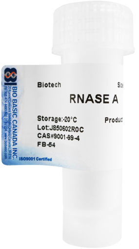 RNase A calidad biotech x 100mg