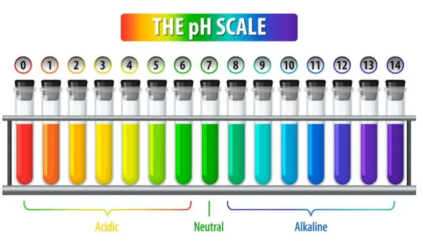 Como elegir un phmetro para tu laboratorio