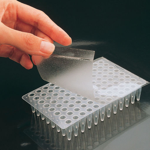 Film adhesivo PCR x 100u.