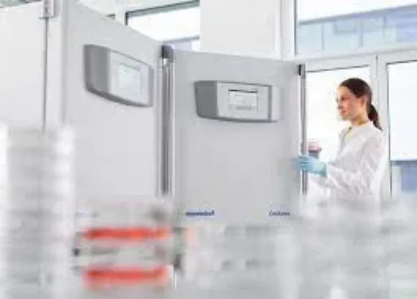 Cómo encontrar la incubadora CO2 perfecta para tu laboratorio