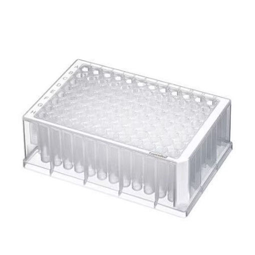 Placa Deepwell 96/1000µL DNA, pocillos transparente x 20 u.