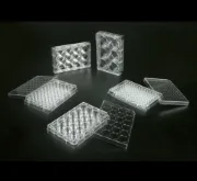 Placa cultivo celular para células adheretnes, estériles. Libres de DNASA/RNASA y apirogénicas