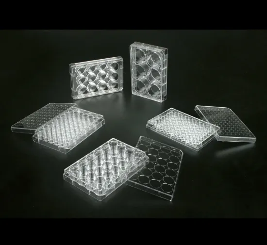 Placa cultivo celular para células adheretnes, estériles. Libres de DNASA/RNASA y apirogénicas