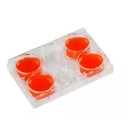 Placa cultivo celular para células adheretnes, estériles. Libres de DNASA/RNASA y apirogénicas