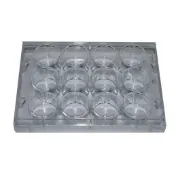 Placa cultivo celular para células adheretnes, estériles. Libres de DNASA/RNASA y apirogénicas