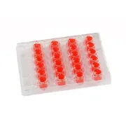 Placa cultivo celular para células adheretnes, estériles. Libres de DNASA/RNASA y apirogénicas