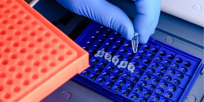 PCR: Optimización y solución de problemas