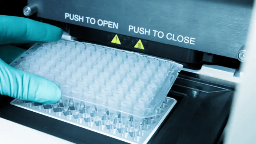 Desafíos clave al diseñar ensayos de qPCR