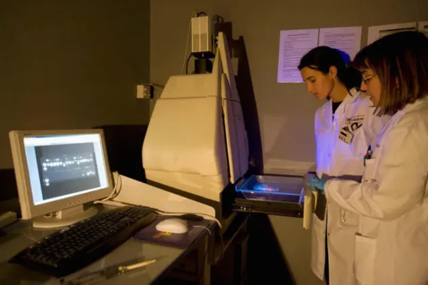 ¿Para qué sirve el Transiluminador?