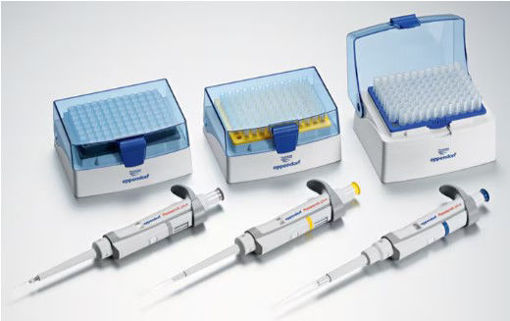 Kit de 3 pipetas Research Plus 0,5-10µl, 10-100µl y 100-1.000µl  con tips