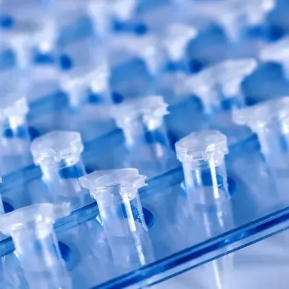 Imagen para la categoría PCR y sus variantes