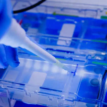 Imagen para la categoría Electroforesis de Biomoléculas