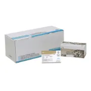 Kit PCD Steam Test Pack de 3 horas (con integrador de un punto - violeta) 