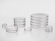 Placas de cultivo de células y tejidos no tratado