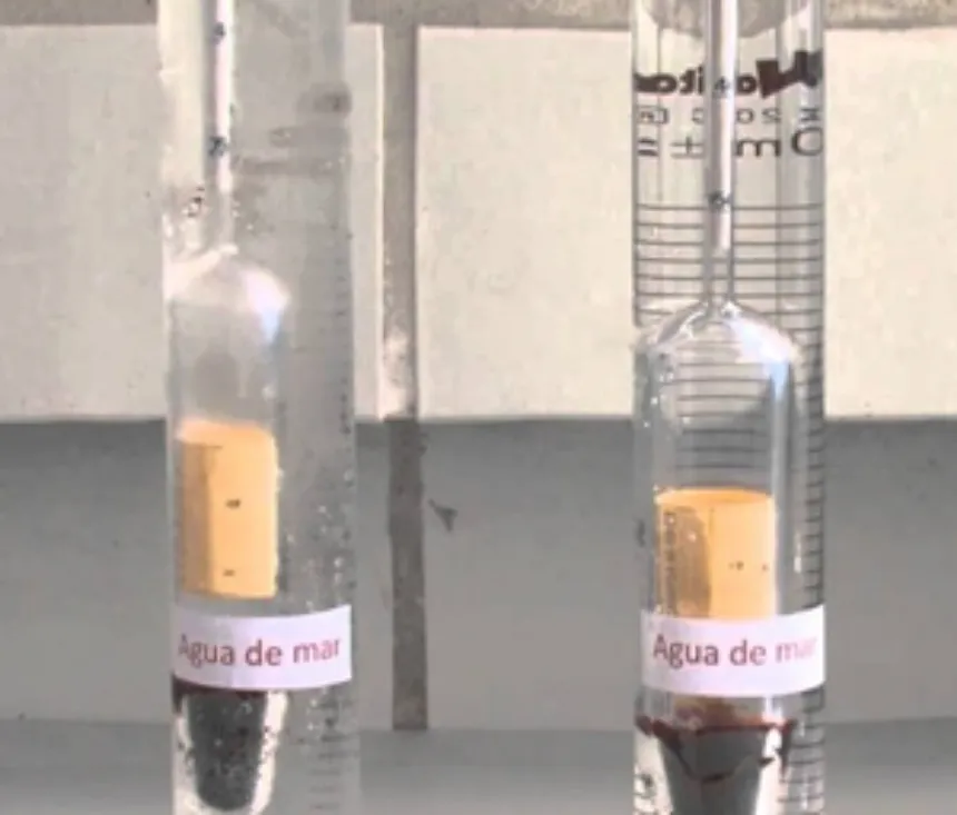 Refractómetro o densímetro: diferencias y usos