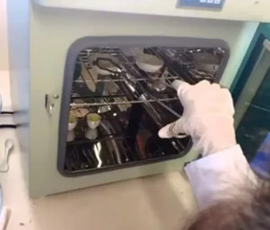 Para qué sirve la estufa de secado: aplicaciones