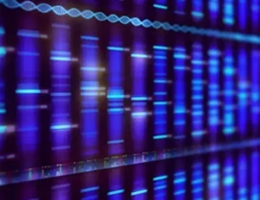 Técnicas modernas de secuenciación del ADN: del Sanger al NGS