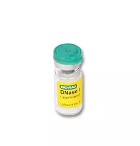 DNAsa I, libre de RNAsas. 1 vial