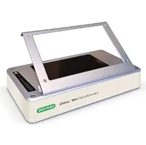 Mini Transilluminator UView™