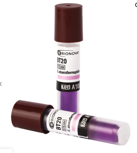 Indicador biológico de 24 hs para Vapor BT20