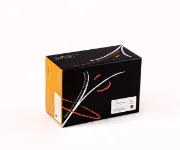 Kit ELISA para determinación de Micotoxinas x 48 test