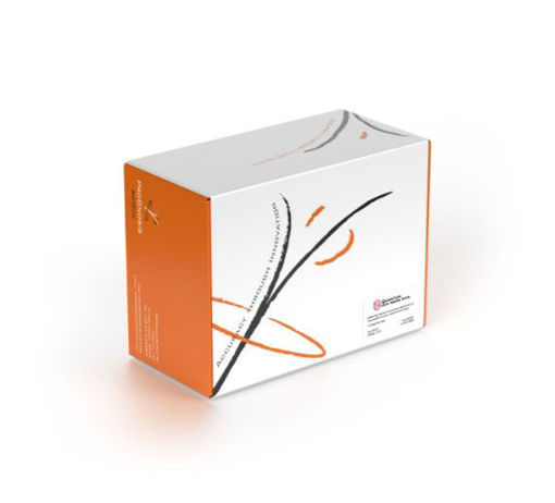Kit FLUJO LATERAL con extracción acuosa (método ecológico) para DON x 40 tests