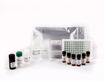 Test ELISA para determinación de HISTAMINAS x 48 tests