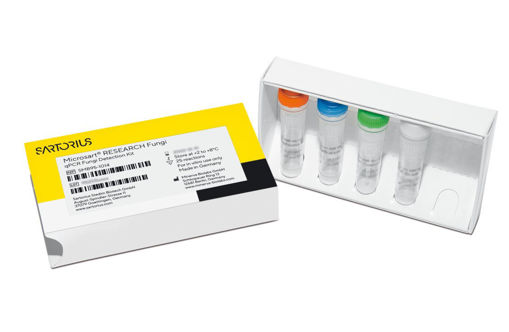 Detección de Hongos qPCR Microsart RESEARCH