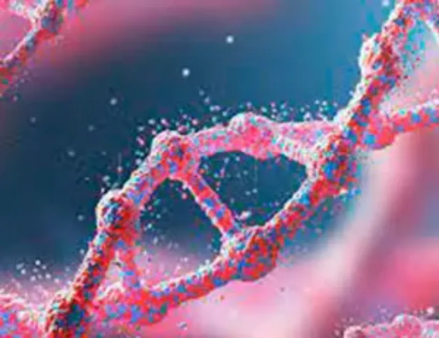 El impacto de la epigenética en la expresión génica