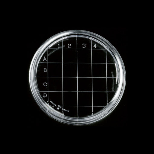Placa De Contacto Esteril Tipo Rodac De 65,7x14,7mm x 500u.