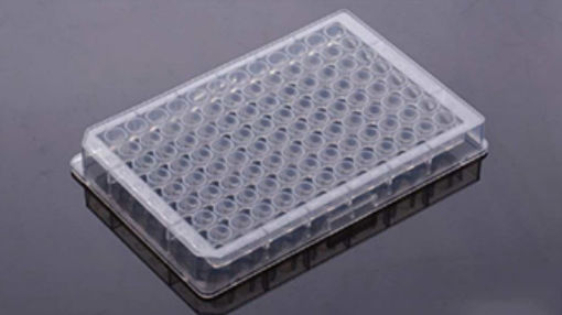 Placa De Pocillos Profundos 0,36 ml x 10 u.