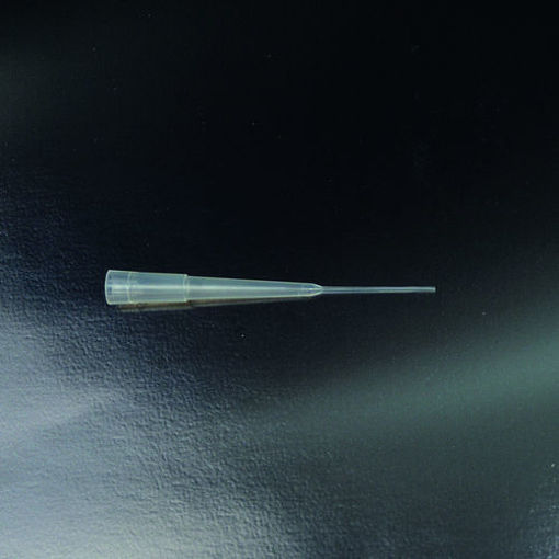 Tip para gel en PP 0.1-200 µl