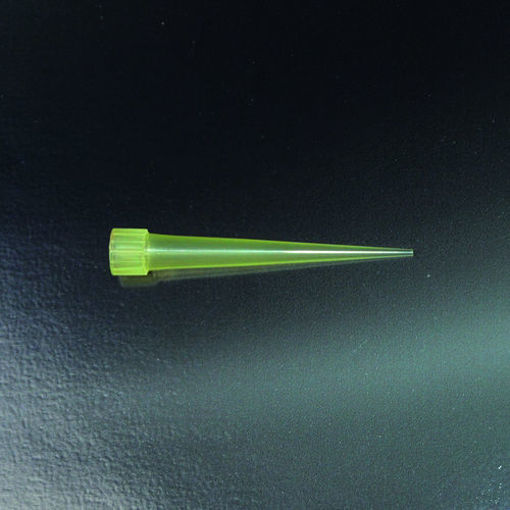 Tips con corona PP tipo Eppendorf x 1000u.