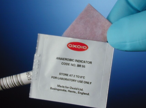 Indicador De Anaerobiosis x 100 Unidades 