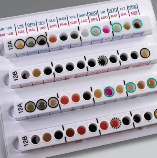 Oxidasa Tiras x 100 Unid 