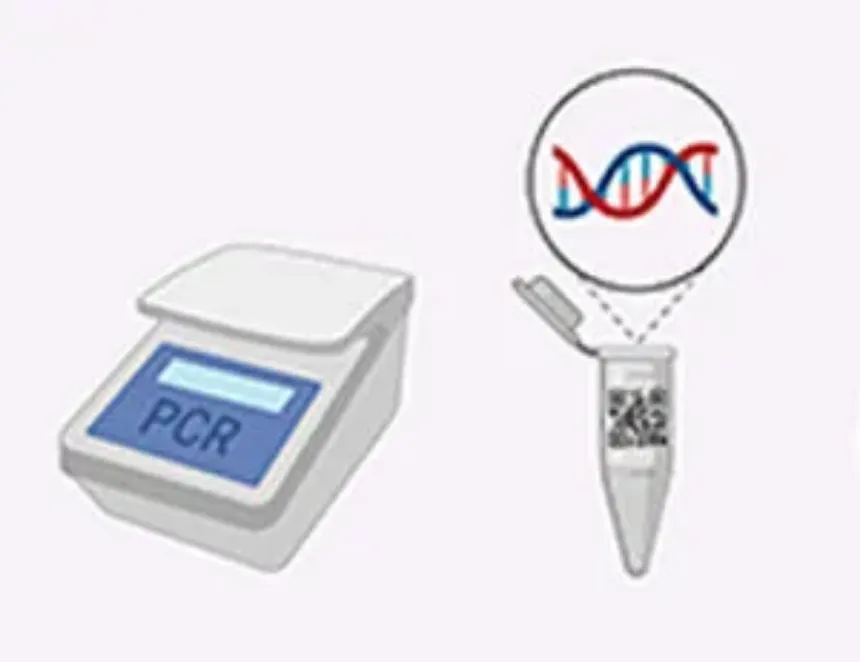 Errores comunes en la PCR y cómo evitarlos