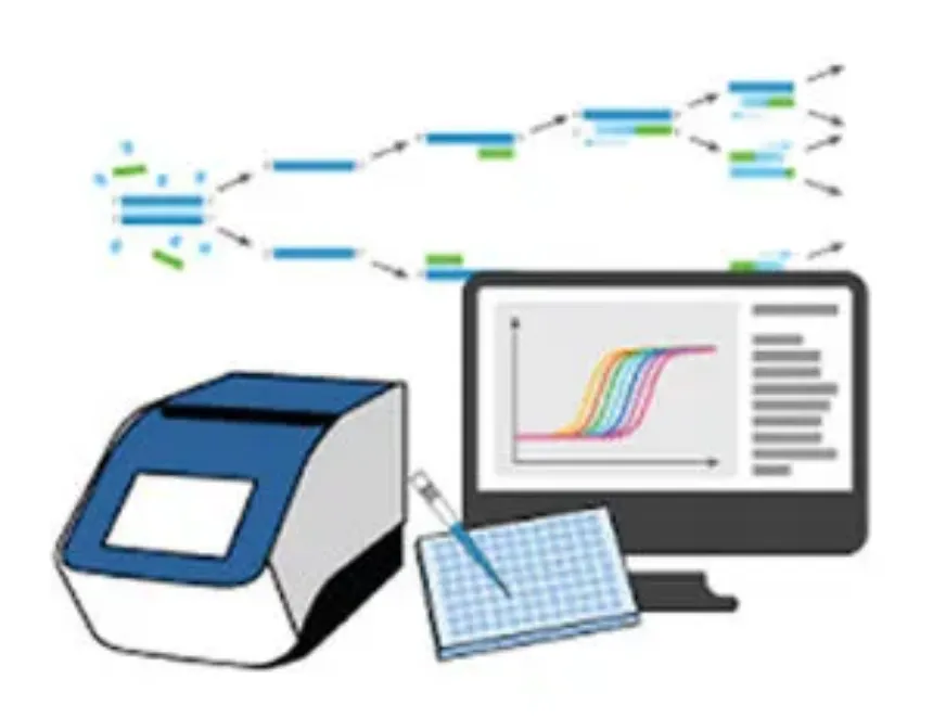 Optimización de la reacción de PCR: factores clave